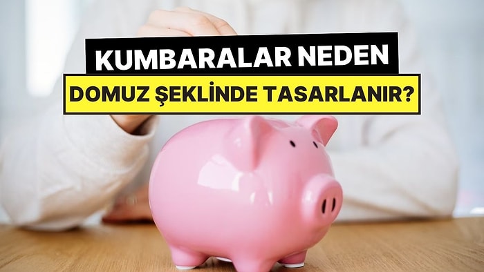 Kumbaraların Genelde Domuz Şeklinde Tasarlanmasının Şaşırtacak Nedeni